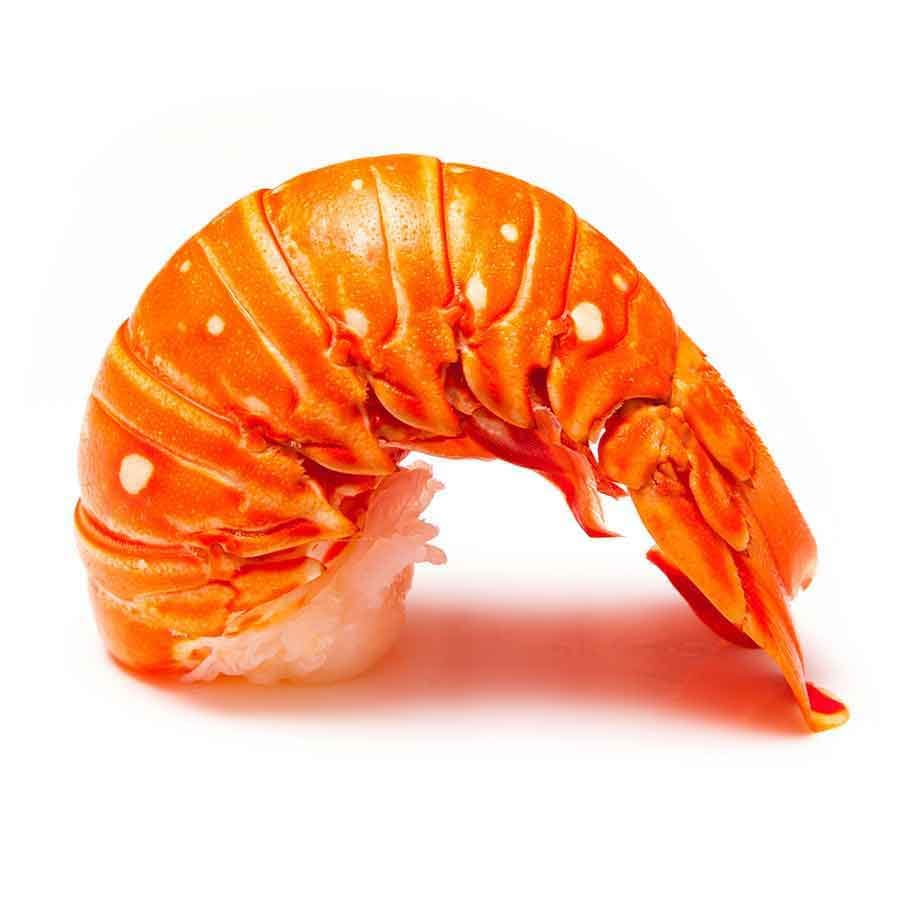 Langusten Schwanz - Rock Lobster Tail, Wildfang Karibik,  vorgegart