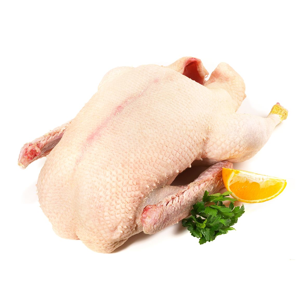 Weiße Polnische Hafergans - Die traditionelle Weihnachtsgans 3,8kg