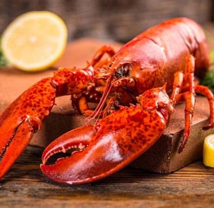 types-of-fish-to-eat-salmon-2