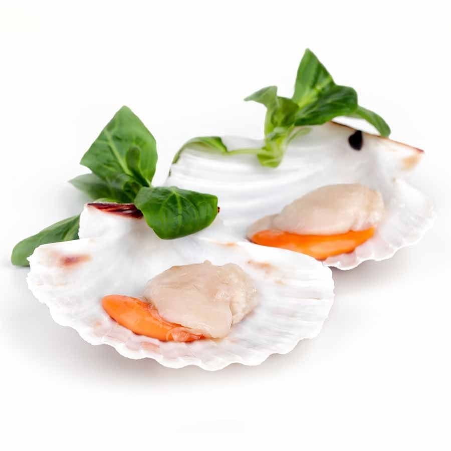 Jacobsmuschelfleisch (Scallops) mit Rogen – Wildfang, 40/60 lbs (85-124 Stk), 0,8 kg 2