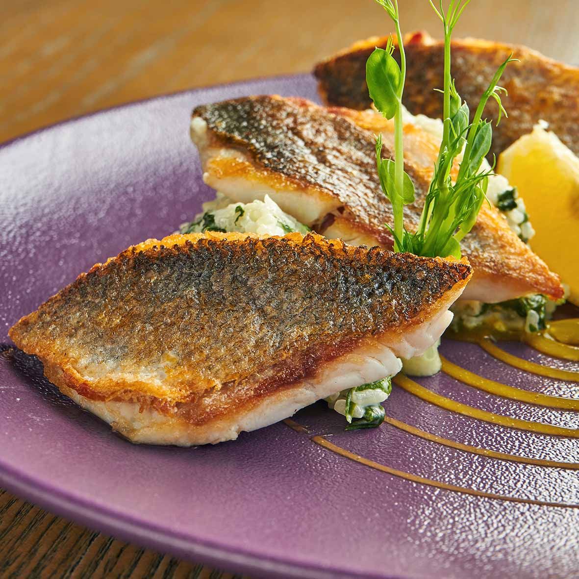 Knurrhahnfilet – Roter Knurrhahn aus dem Pazifik, 800 g 3