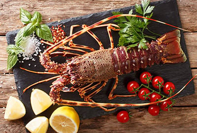 Languste im Meeresfrüchtelexikon-Blog von Lobsterking.