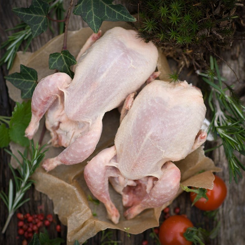 Wachteln, bratfertig – ungewürzt, roh (4 x 150–170 g) 2