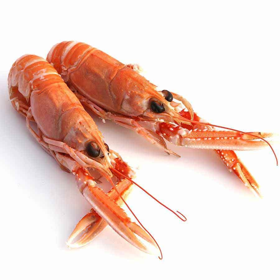 Langostinos, Kaisergranat, Kaiserhummer, Echte Scampi, WILDFANG, 16-20 St., 1 kg 1