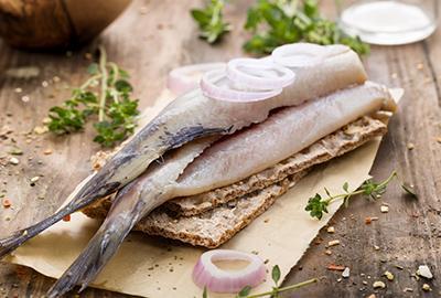 matjes-fischlexikon-blog-lobsterking