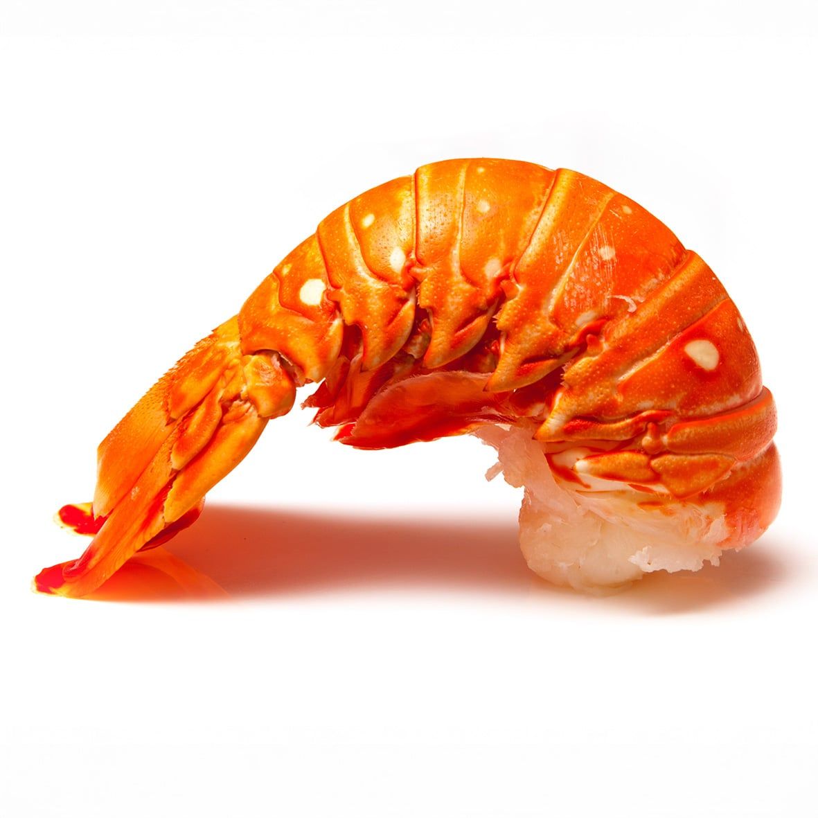 Langusten Schwanz - Rock Lobster Tail, Wildfang Karibik,  vorgegart