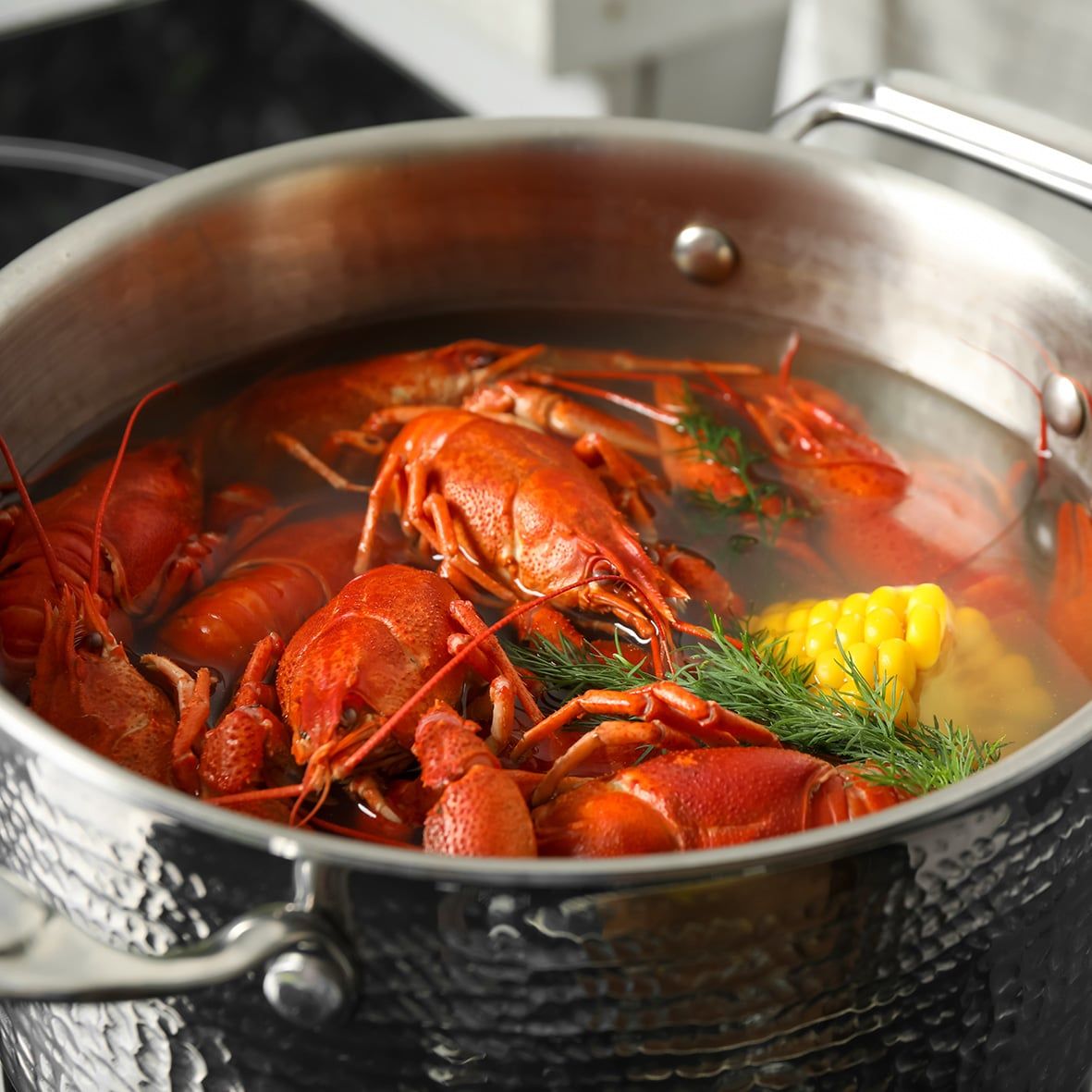 Lobster / Hummer, kanadischer, roh, WILDFANG 3