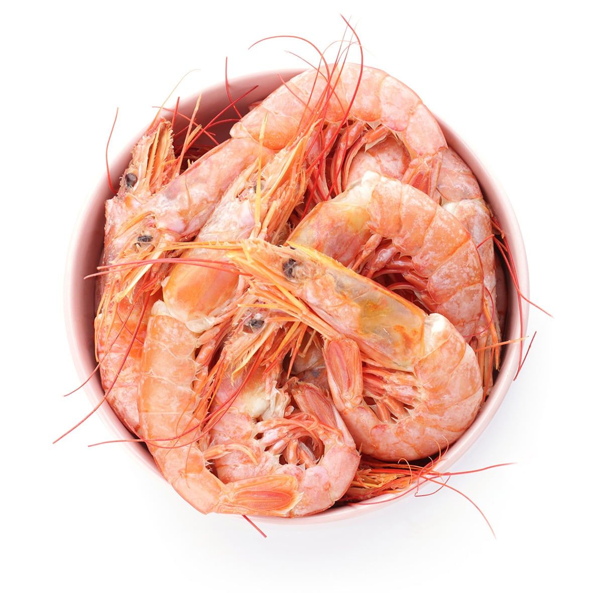 Grönlandshrimps, Eismeergarnelen, ganz/gekocht