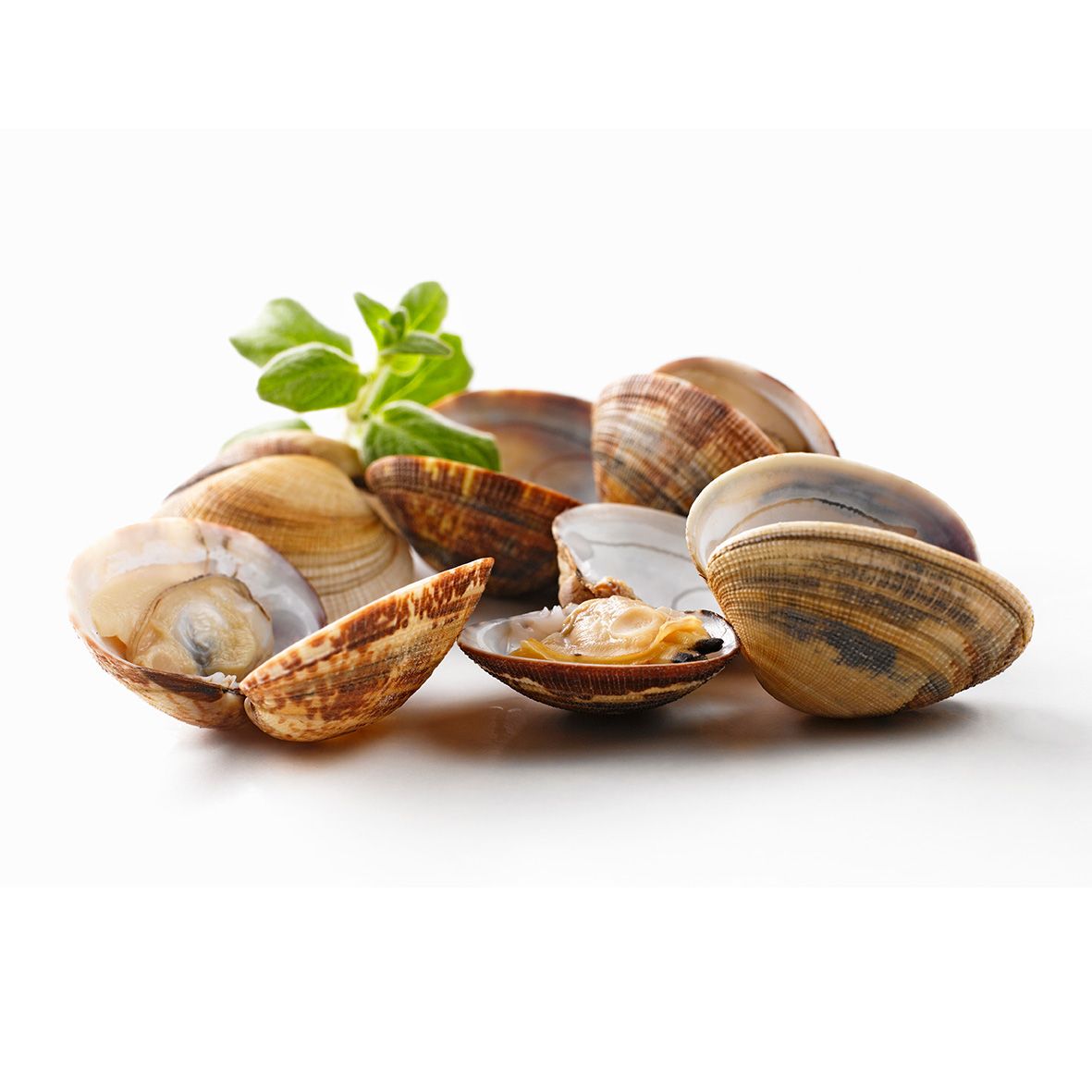 Ganze Venusmuscheln, sortenrein, blanchiert, schockgefrostet,1 kg