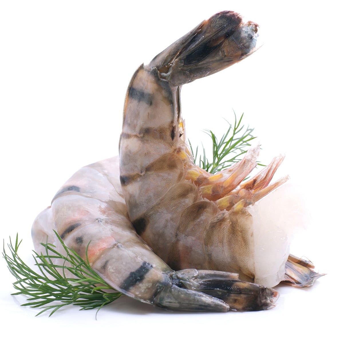Riesengarnelen XXL „Rosenberg Prawn“ – ohne Kopf, mit Schale, roh