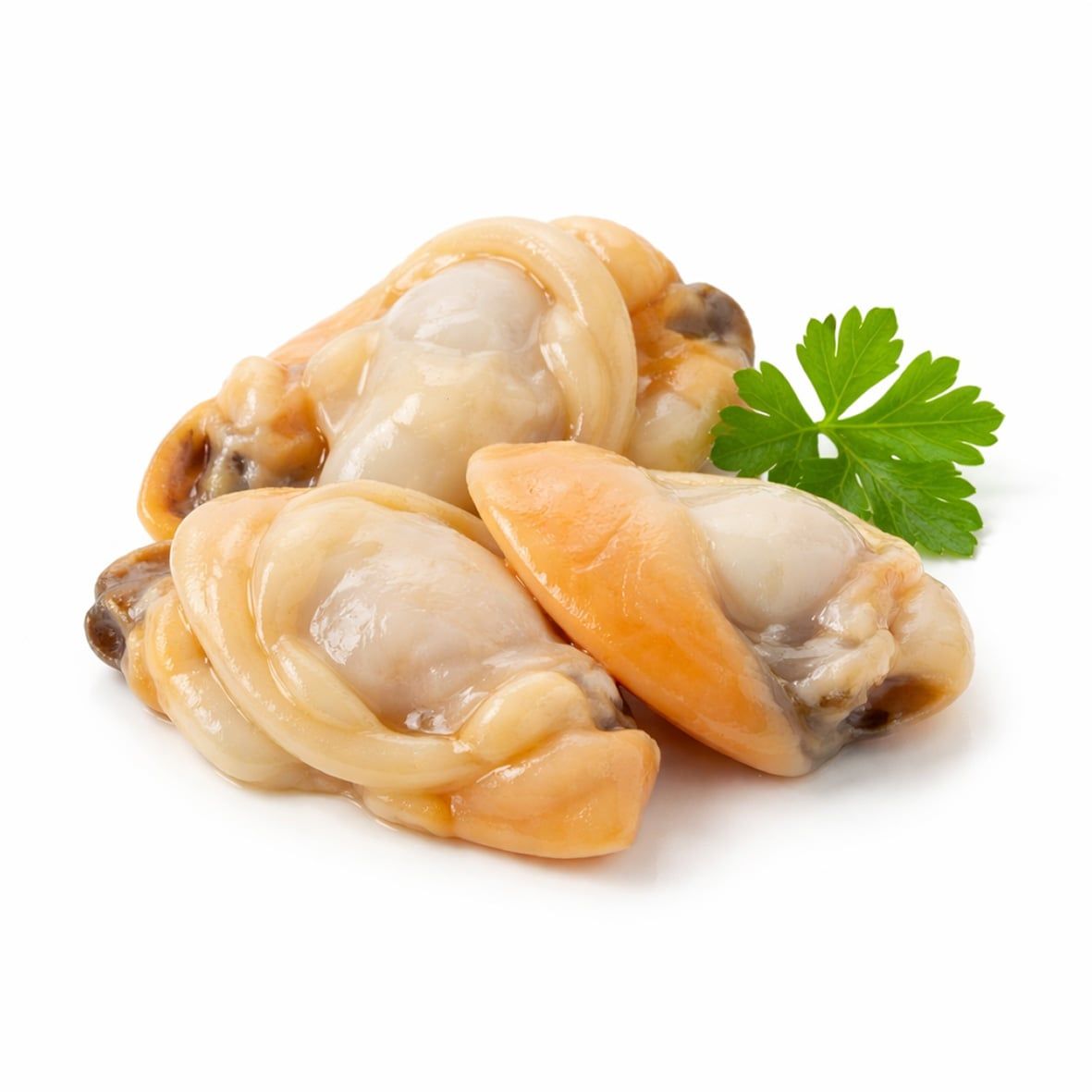 Venusmuschelfleisch, gekocht  