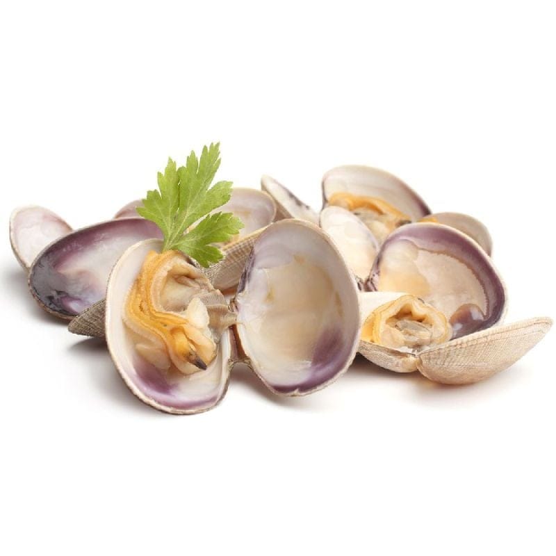 Venusmuschelfleisch, gekocht  