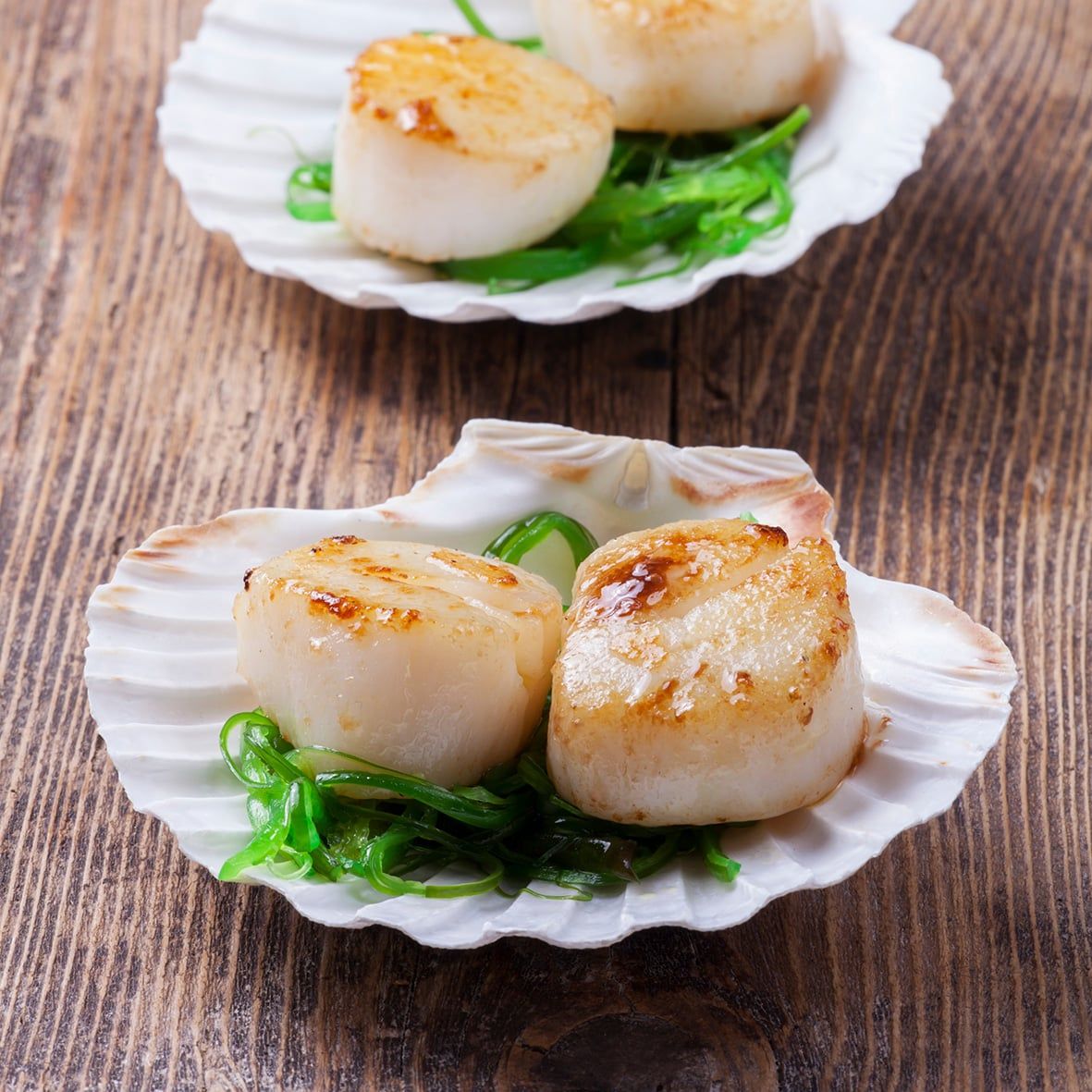 Jacobsmuschel Schalen, ca 11-14 cm Durchmesser, gereinigt, als Deko o. Tellerchen (5 Stück) 3