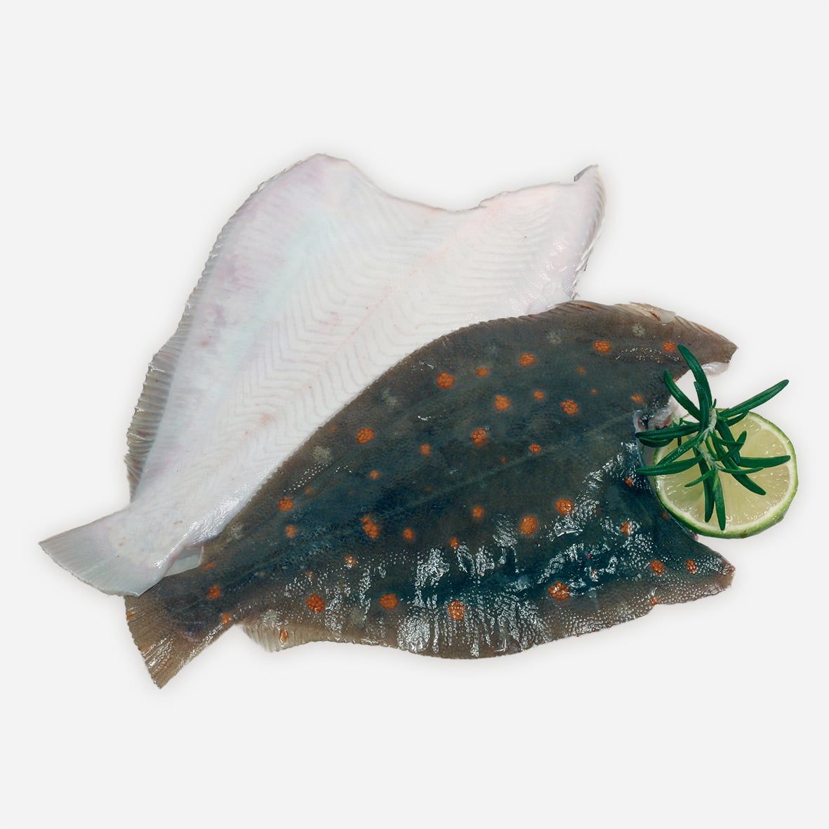 Scholle  | 4 Stück, insgesamt 1000-1400g