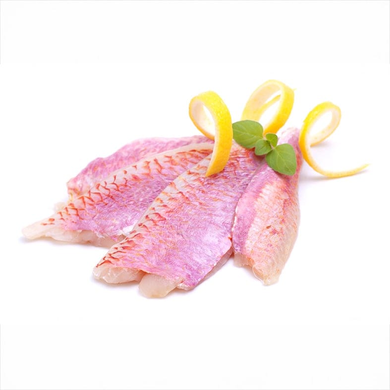 Rote Meerbarbe, Filetstücke aus WILDFANG, 1 Kg