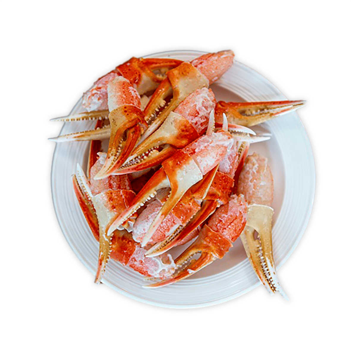 Schneekrabben Cocktail-Scheren 15/20, gekocht, 200 g