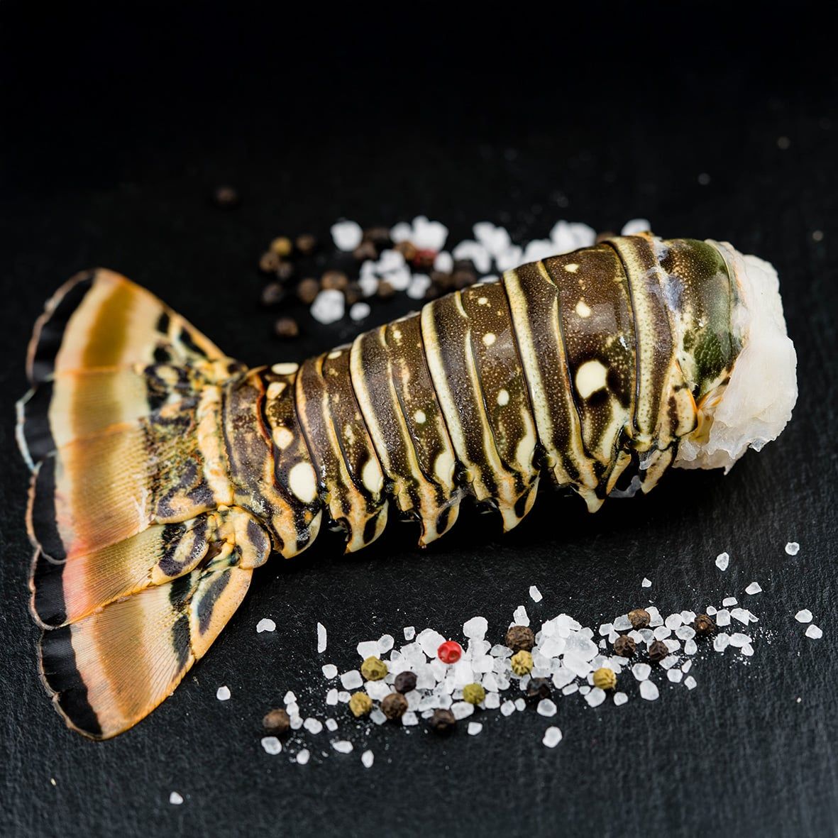  Langusten Schwanz XL roh, 800-950 g pro Stück 2