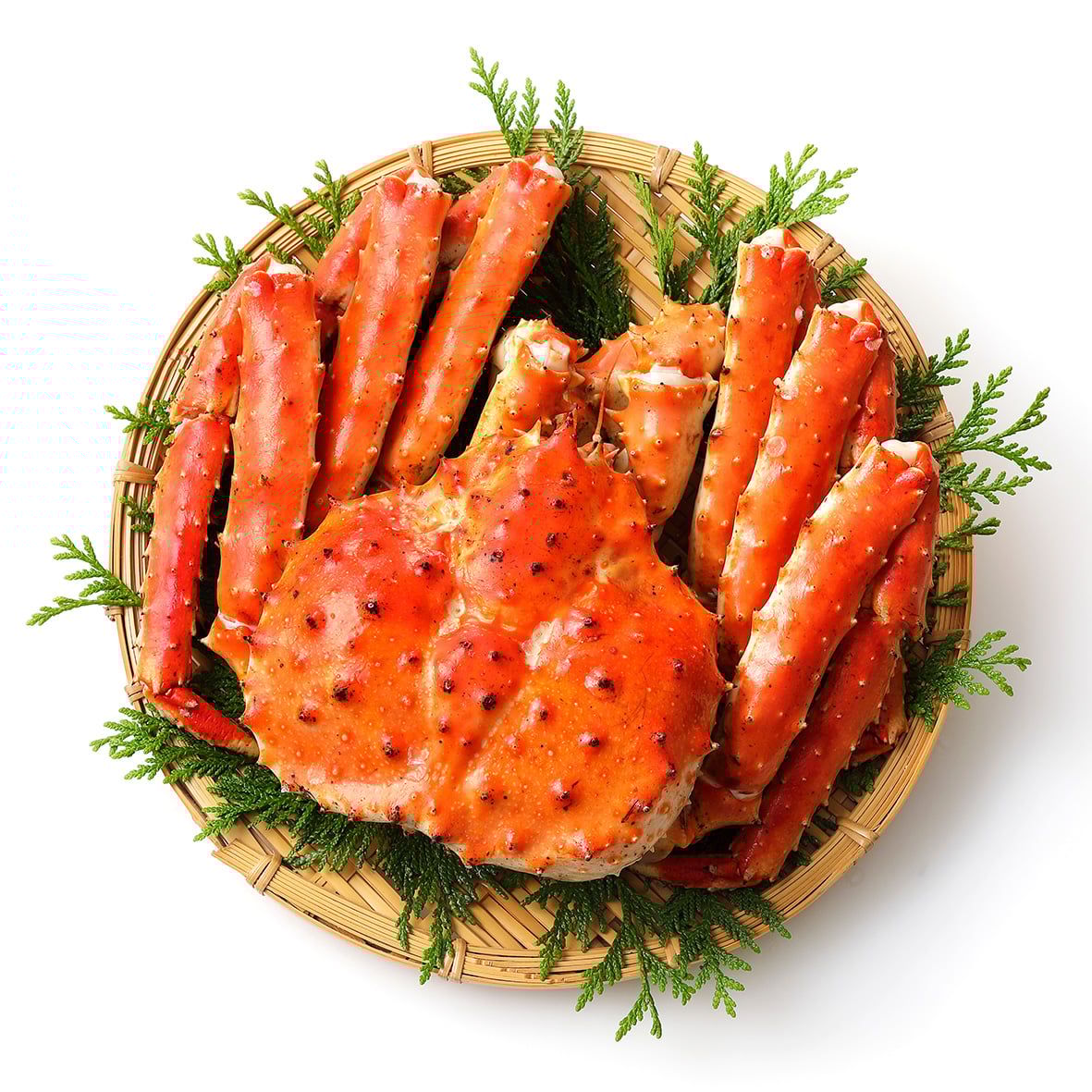 Königskrabbe / King Crab XL, ganze Krabbe, WILDFANG, 1000-4200g