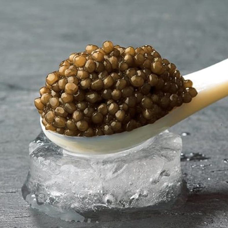 Imperial Kaviar (Korngröße: 2,8 – 3,0 mm) 3