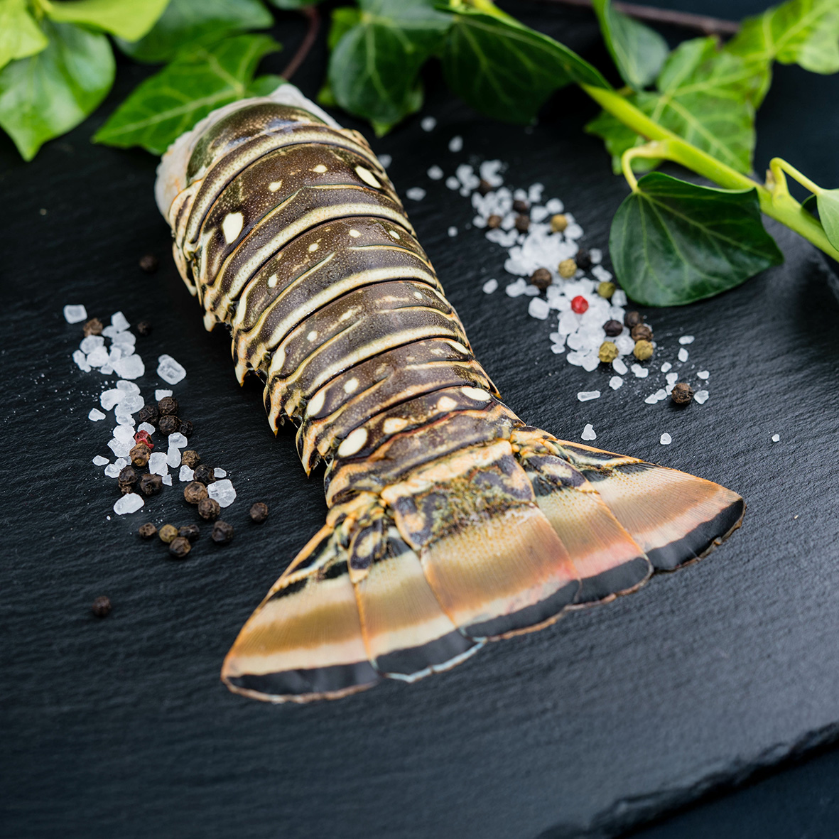 Langusten Schwanz - Rock Lobster Tail, roh, Wildfang aus der Karibik 2