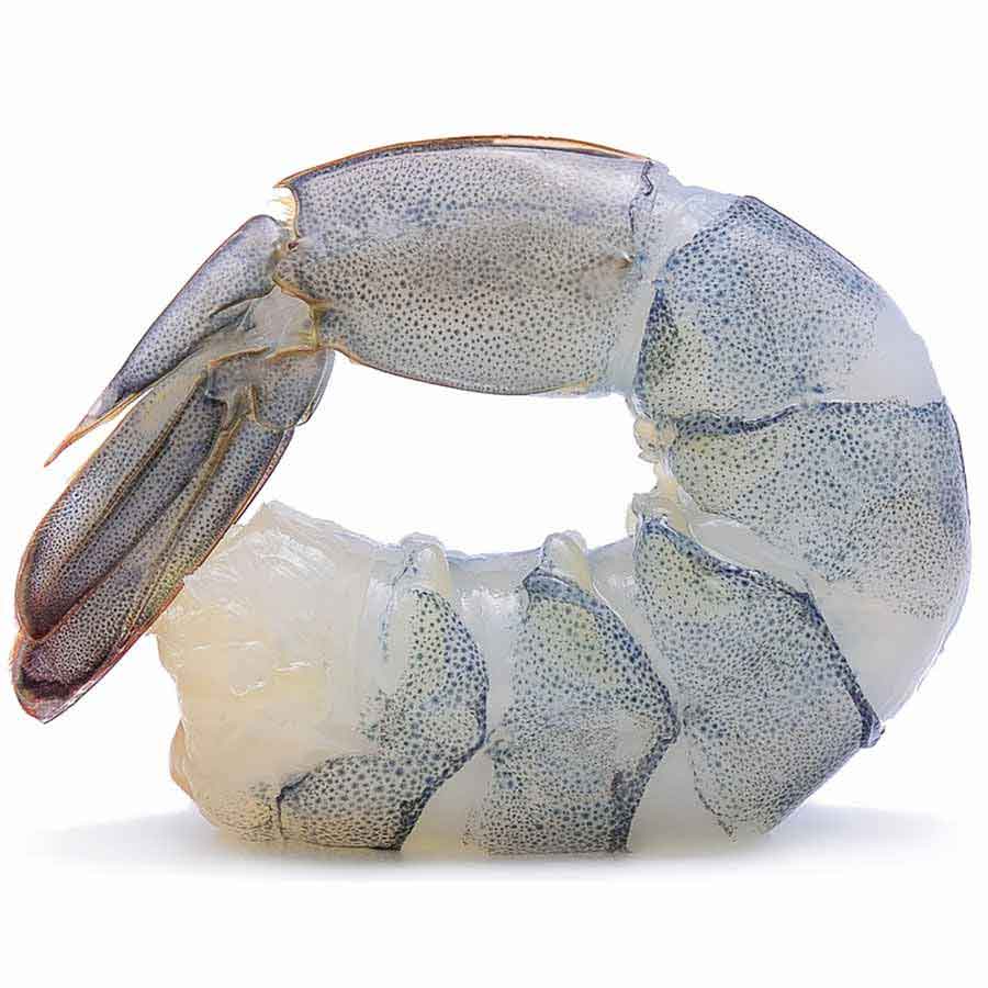 Riesengarnelen, o.Kopf, geschält, 'Giant XL', 13/15er, 1 Kg (26 - 30 Stück)