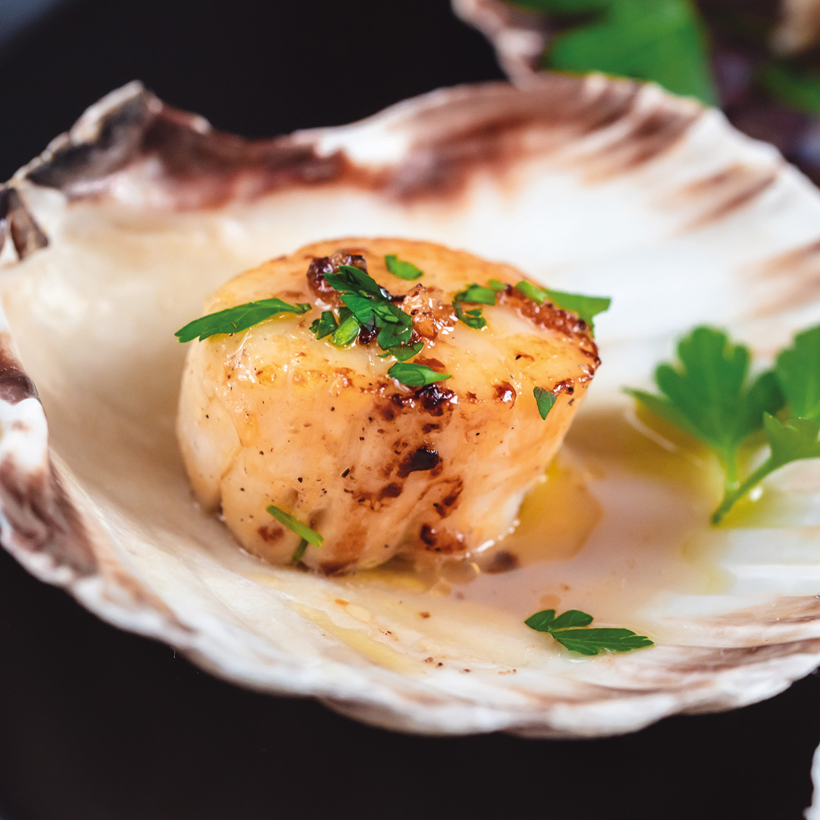 Tiefsee Scallops ohne Rogen, 800 g