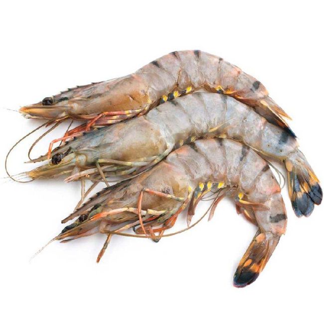Gambas / Riesengarnelen / Black Tiger Shrimps (roh), m. Kopf, m. Schale, Groß L (16-20 Stück) 1kg
