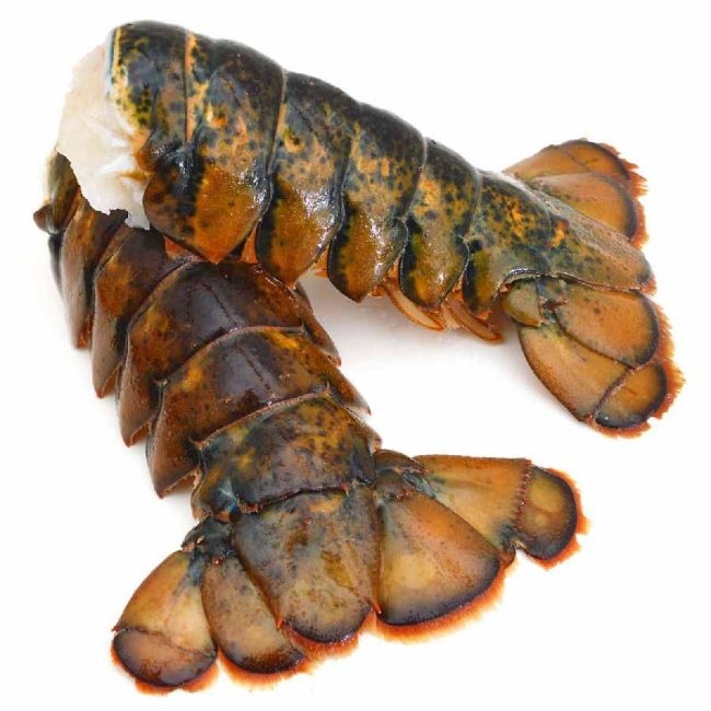 Naked Lobster Tail ganzer kanadischer Hummerschwanz, WILDFANG, roh, geschält, schockgefrostet
