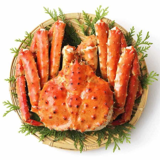 Chile-Königskrabbe, Alaska-Königskrabbe / King Crab, 4300 g (1 Stück GANZ) aus Chile