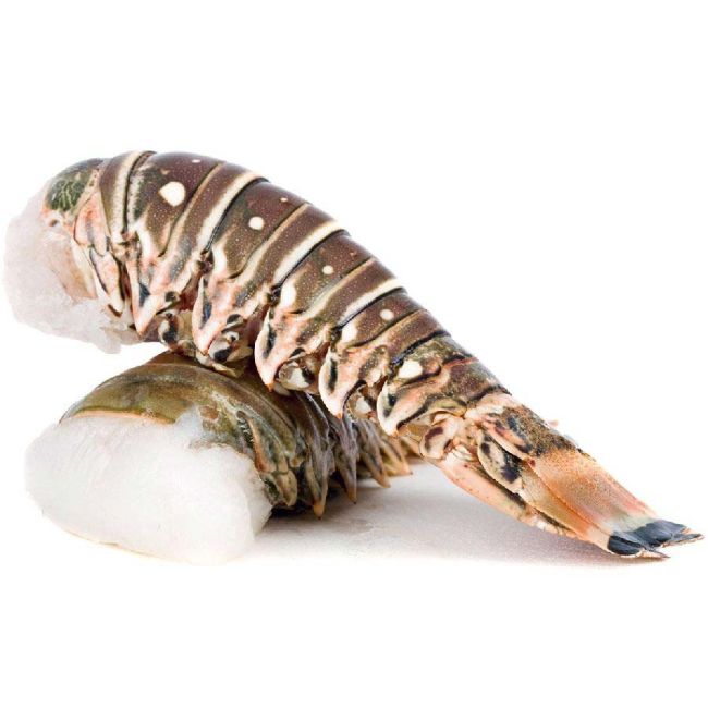 Langusten Schwanz - Rock Lobster Tail, Wildfang aus der Karibik, roh, mittel, ca. 260 g pro Stück