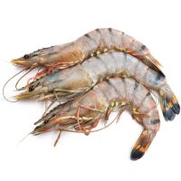 Gambas / Riesengarnelen / Black Tiger Shrimps (roh), m. Kopf, m. Schale, Giant L (8-12 Stk) 1 kg