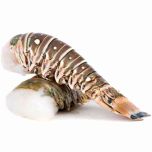 Langusten Schwanz - Rock Lobster Tail, Wildfang Karibik, roh, XXL, ca. 860 g pro Stück