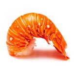 Langusten Schwanz - Rock Lobster Tail, Wildfang Karibik, geschält, entdarmt, vorgegart, 170 g