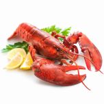 Lobster / Hummer, kanadischer, WILDFANG, gekocht, 300 g Listenansicht