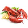 Naked Lobster – ganzer kanadischer Hummer, WILDFANG, roh, geschält, schockgefrostet ca. 140g Ansicht1