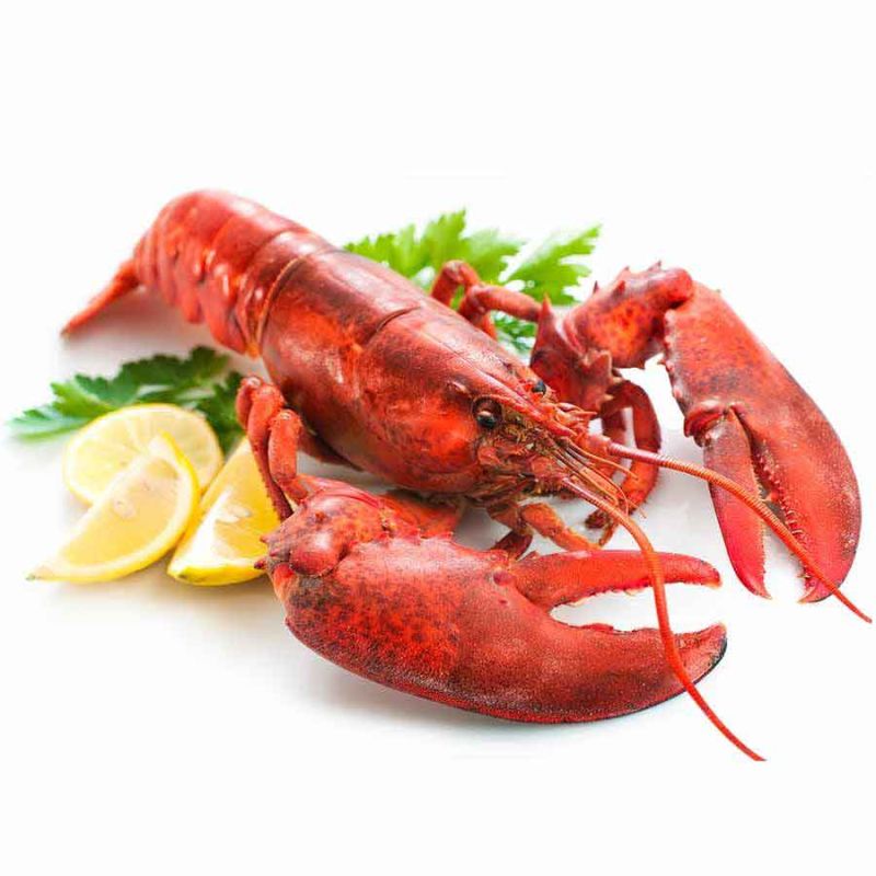 Lobster / Hummer, kanadischer, WILDFANG, gekocht, 300 g Listenansicht
