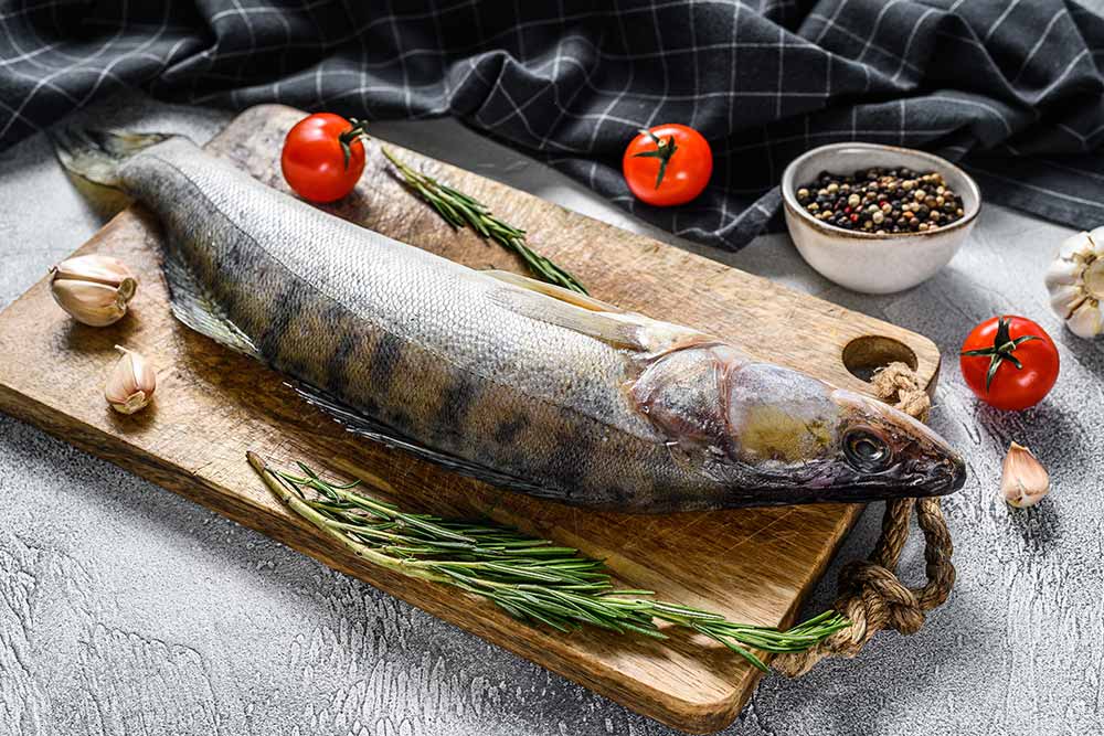 Zanderfilet gewürzt mit Pfeffer, Knoblauch und Thymianzweigen