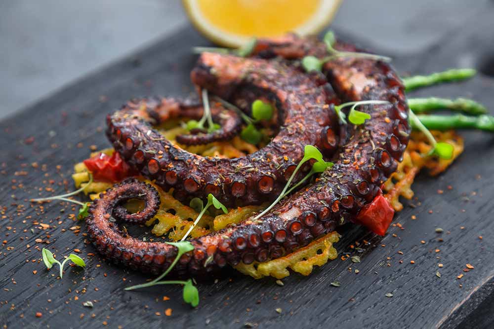 Krake / Oktopus gegrillt mit Kresse und Gewürzen serviert