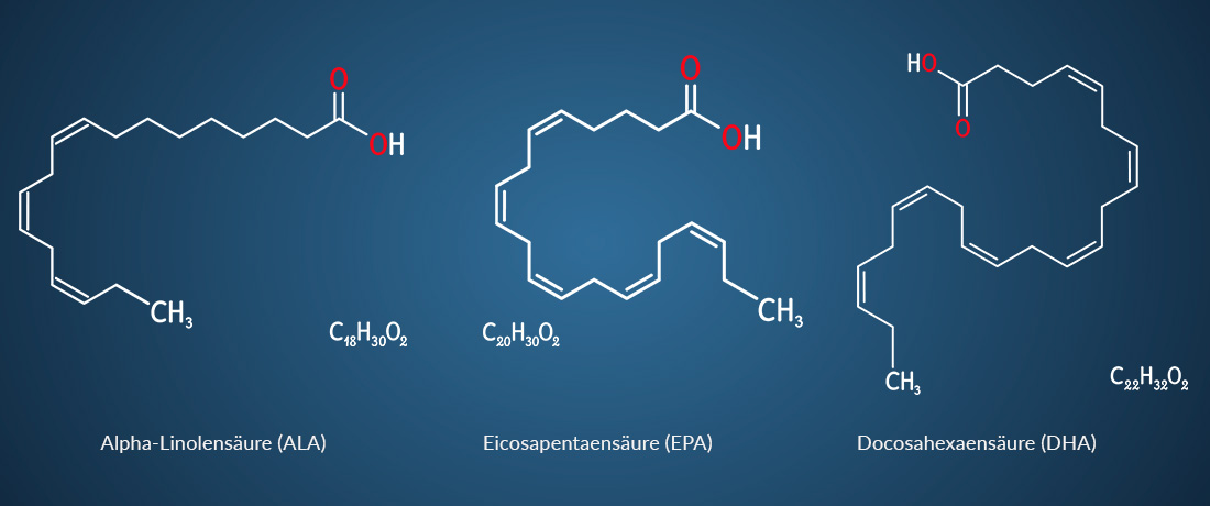 Omega-3-Fettsäuren ALA / EPA / DHA