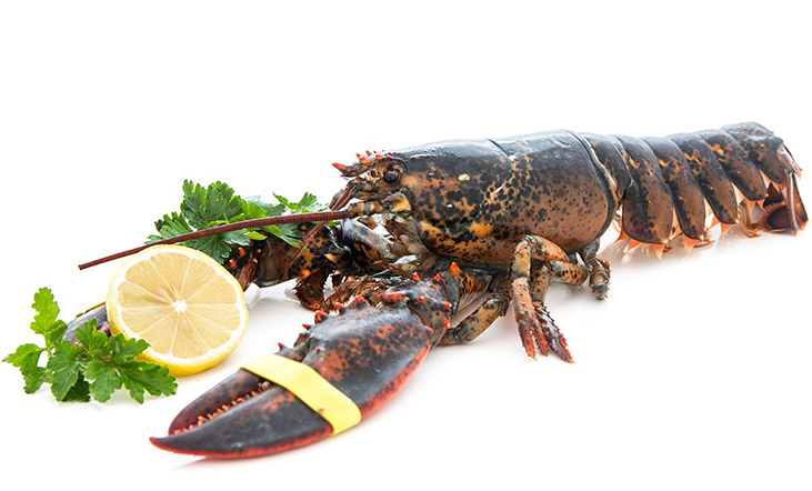 Hummer roh 500g Angebot