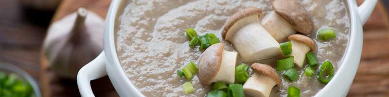 Steinpilz-Suppe Rezeptidee
